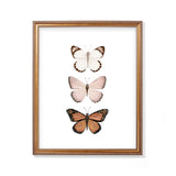 Butterfly Watercolor Painting Trio - Art Print