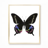 Watercolor Butterfly Paintings - Collection of 9 Art Prints