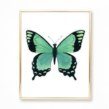Watercolor Green Butterfly Painting - Papilio lorquinianus Butterfly - Art Print