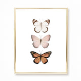 Butterfly Watercolor Painting Trio - Art Print