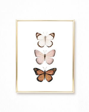 Butterfly Watercolor Painting Trio - Art Print