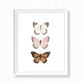 Butterfly Watercolor Painting Trio - Art Print