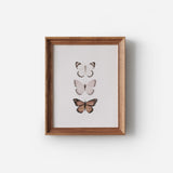Art Print - Butterfly Trio