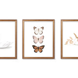 Nursery Animal Paintings I - Set of 3 Art Prints