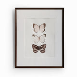 Butterfly Trio in Watercolor