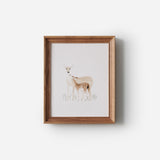 Art Print - Deer and Baby