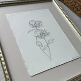 Poppy Floral Sketch