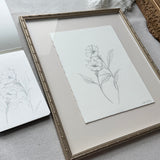 Moon Flower Sketch