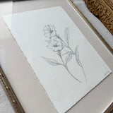 Moon Flower Sketch
