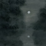 Art Print - Moonlight