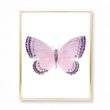 Watercolor Butterflies Paintings Collection - Set of 6