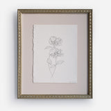 Poppy Floral Sketch