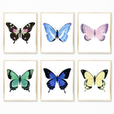 Watercolor Butterflies Paintings Collection - Set of 6