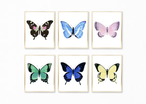 Watercolor Butterflies Paintings Collection - Set of 6