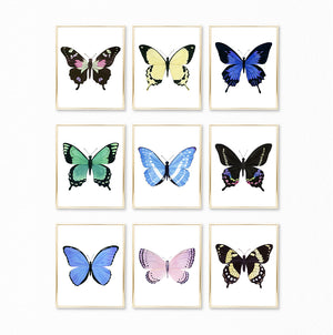 Watercolor Butterfly Paintings - Collection of 9 Art Prints