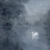 Art Print - Swan Lake