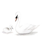 Swan and Baby Duckling Watercolor Painting - Art Print