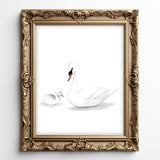 Swan and Baby Duckling Watercolor Painting - Art Print