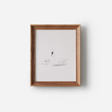 Art Print - Swan and Baby Duckling
