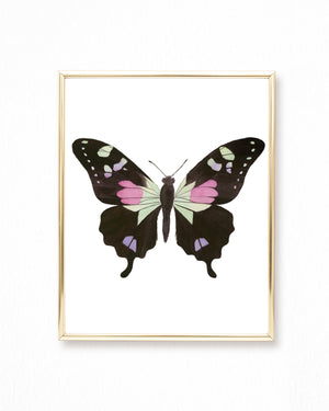 Watercolor Pink and Green Butterfly Painting - Graphium weiskei butterfly - Art Print