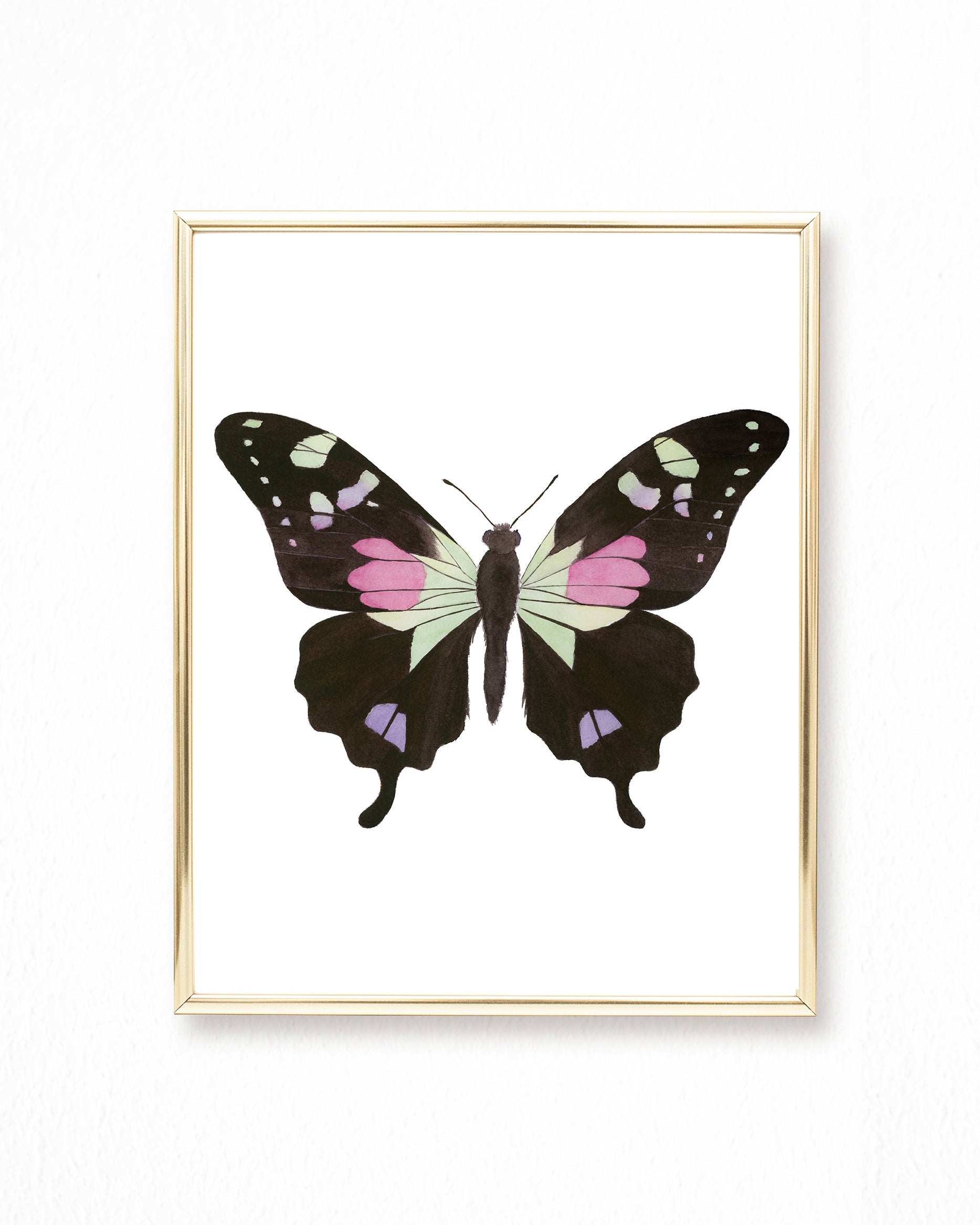 Watercolor Butterfly Paintings - Collection of 9 Art Prints