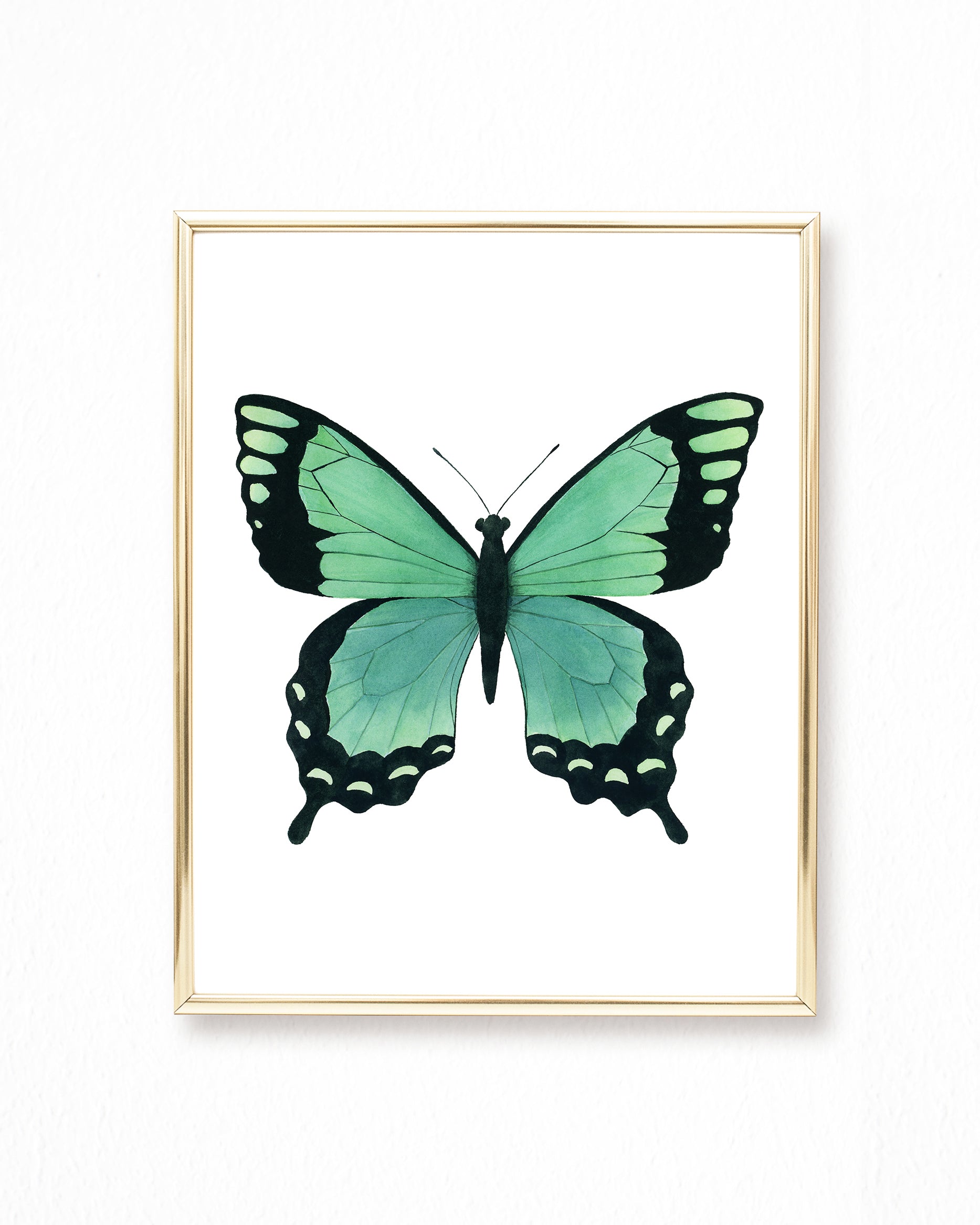 Watercolor Butterflies Paintings Collection - Set of 6