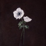Art Print - White Peony