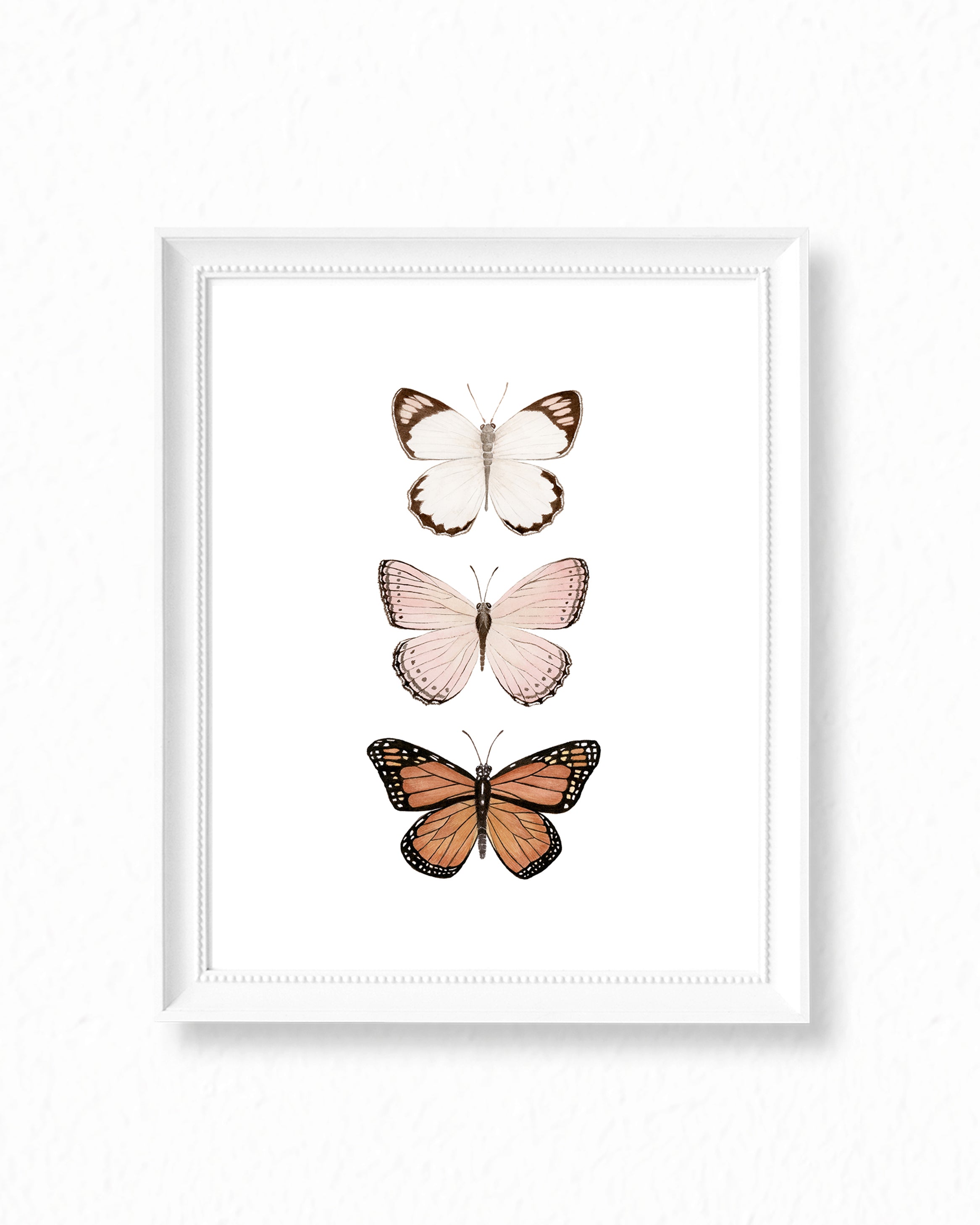 Butterfly Watercolor Painting Trio - Art Print
