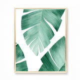 Tropical Banana Leaf Watercolor Painting - Art Print