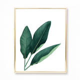 Tropical Leaves V Watercolor Painting - Art Print