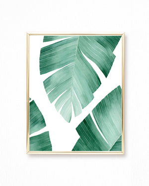 Tropical Banana Leaf Watercolor Painting - Art Print