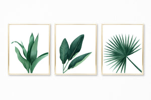 Watercolor Tropical Leaves Paintings II - Set of 3 Art Prints