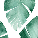 Tropical Banana Leaf Watercolor Painting - Art Print