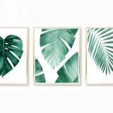 Watercolor Tropical Leaves Paintings - Set of 3 Art Prints
