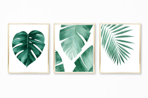 Watercolor Tropical Leaves Paintings - Set of 3 Art Prints