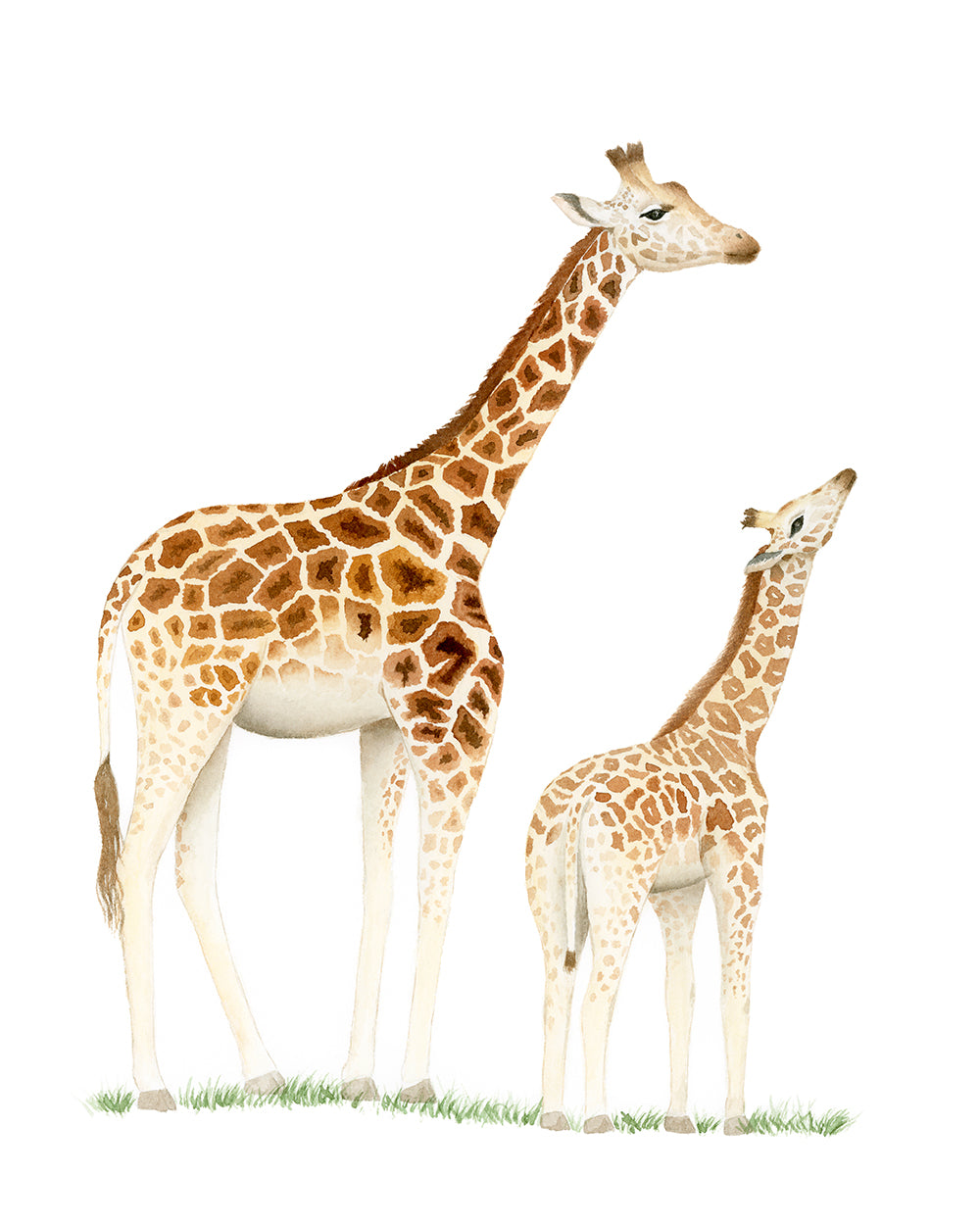 Giraffe Watercolor Painting - Art Print