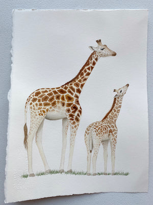 Original Painting - Watercolor Giraffe & Baby Painting 11x15 inches
