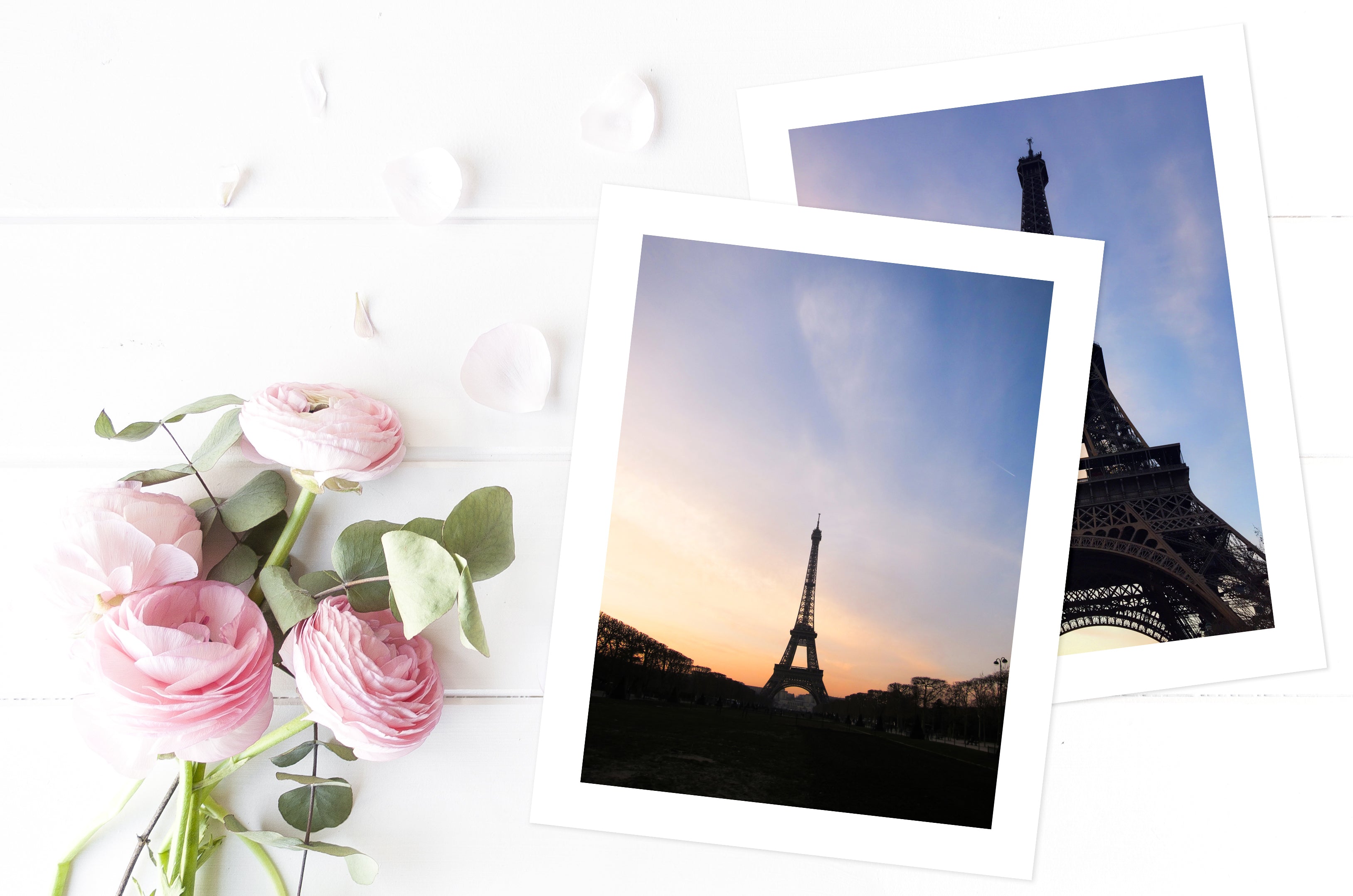 Paris Eiffel Tower Photography - 2 Art Prints