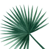 Tropical Leaves VI Watercolor Painting - Art Print