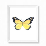 Butterfly II Watercolor Painting - Art Print