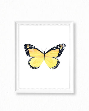 Butterfly II Watercolor Painting - Art Print